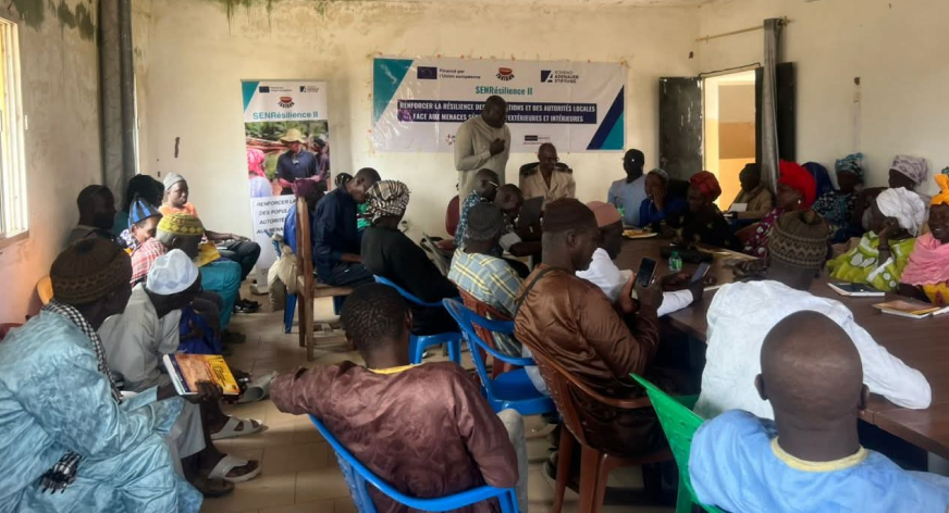 Gestion des conflits et résilience communautaire : exemple du Projet SENRésilience